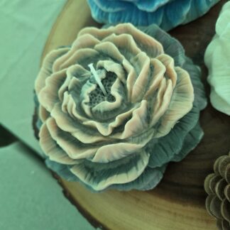 Grey Beige Peony- Cashmere